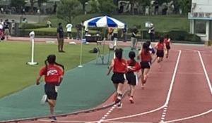 Thumbnail of post image 027